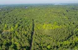 Lot 12-F Occaneechi Trail, Ebony, VA 23845