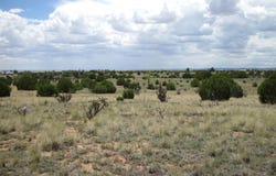 975 NM-344, Edgewood, NM 87015