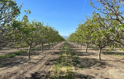 28000 W. Jayne Ave, Coalinga, CA 93210