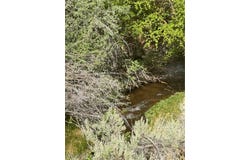 325 Davis Meadow Trail, Dyer, NV 89010