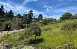 Loring Avenue, Mill Valley, CA 94941