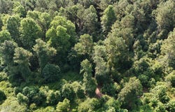 0 Reedsford Road, Turkey, NC 28393