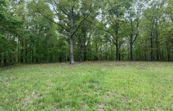 County Road 321, Ava, MO 65608