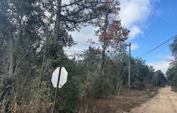 Douglas Ave Tract 5, Douglas, GA 31533