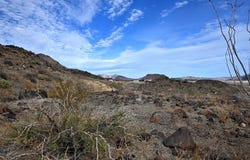 FM 170, Terlingua, TX 79852