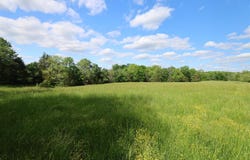420 Stanley Syra Road, Edmonton, KY 42129