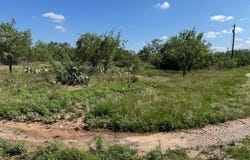 14235 Fawn Dr, Carlsbad, TX 76934