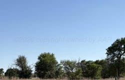 Canadian, TX 79014