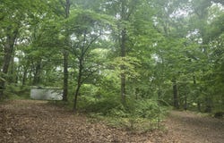 967 N Dade 219, Aldrich, MO 65601