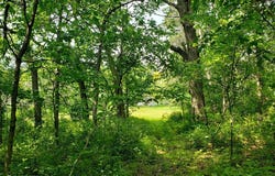 4 County Trunk I, Sparta, WI 54656