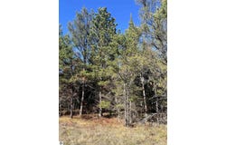 E N Down River Road lot: 363, Grayling, MI 49738