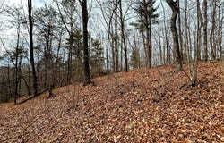 Rhododendron Drive lot: 12, Saluda, NC 28773