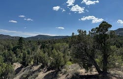 2519 Green Shadows Road, Durango, CO 81303