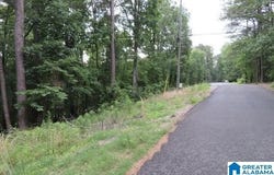 DELMAR DRIVE, MCCALLA, AL 35111