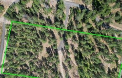 Nka Weaver Way, Deer Park, WA 99006