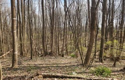 Tbd Allis Chalmers Road, Rural Retreat, VA 24368