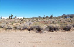 327-06-506 N PEACH Drive, Dolan Springs, AZ 86441
