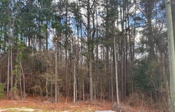 2357 Jefferson Davis Highway, Warrenville, SC 29851