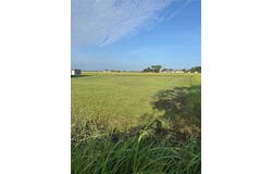 0 LBJ Ranch Road, Trinidad, TX 75163