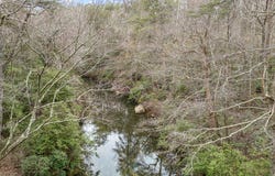 299 9006 Road, Mentone, AL 35984