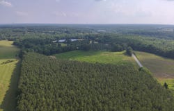 0 County Road 93, Anderson, AL 35610