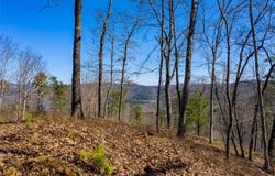 278 Carters Overlook, Ranger, GA 30734