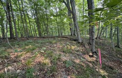 Lot #3 E Bellinger Road, Cedar, MI 49621