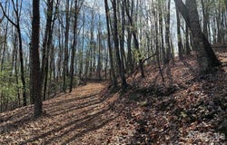Taylorsville Road unit: Tract 2, Taylorsville, NC 28681
