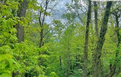 Alpine Drive, Seven Devils, NC 28604
