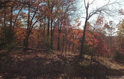 Dennison Drive lot: 64, Linn Creek, MO 65052