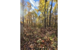 10250 Lucerne Drive, Reed City, MI 49677