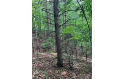 0 Valley View Court, Hickory, NC 28602