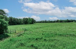 3266 Farm Road 1159, Clarksville, TX 75426