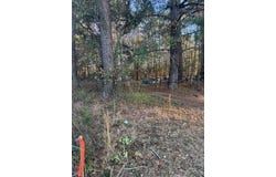 Central Avenue, Summerville, SC 29483