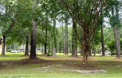 114 Green Court E, Hertford, NC 27944