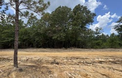00 Joshua Road, McHenry, MS 39561