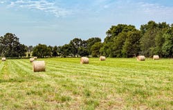 12AC Farm Road 2182, Exeter, MO 65647