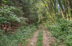 9875 Rountree Road, Hanover, MI 49241