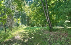 Peeble Lane, Wurtsboro, NY 12790