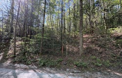 Western Way, Rabun Gap, GA 30568
