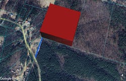 SLICK LIZARD Rd, Nauvoo, AL 35578
