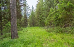 NHN Lupfer Road, Whitefish, MT 59937