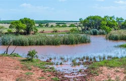 Tbd Parkey Road, Olney, TX 76370