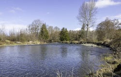 3197 Woodcock, Sequim, WA 98302