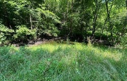 9&10 Long Hollow Acres, Burkesville, KY 42717