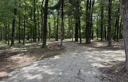 190 Sanctuary Circle, Canton, MS 39046