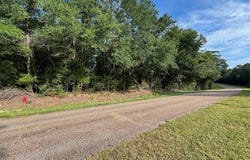 00 Good Hope Rd, Dozier, AL 36028