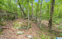00 HIGHWAY 9, HAYDEN, AL 35079
