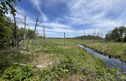 13384 Sorenson Lake Road, Merrifield, MN 56465
