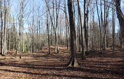 423 Hadley Rd, Stony Creek, NY 12878